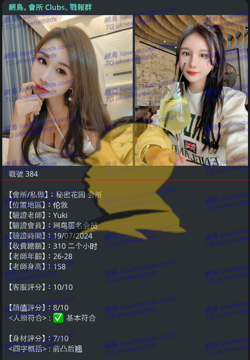 戰號 384 1.png